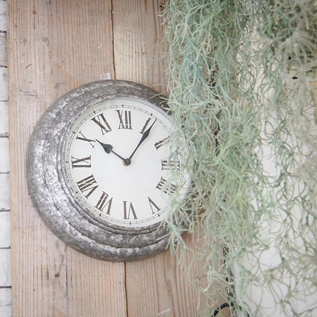 インダストリアルインテリア 観葉植物5