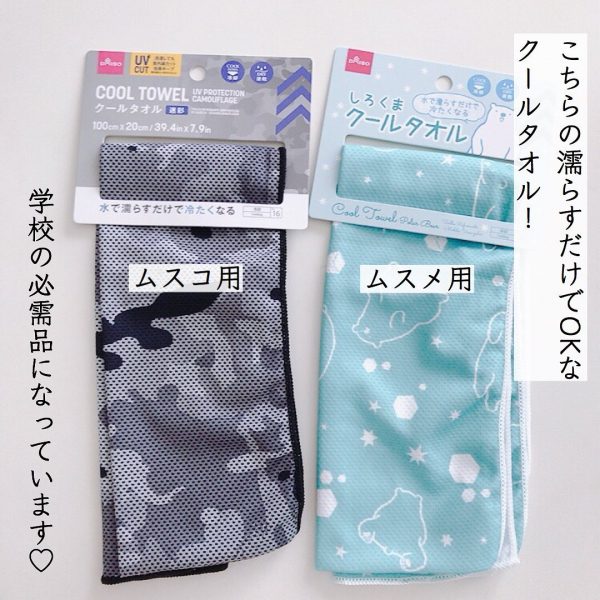 ダイソーのキャンプ用品【暑さ＆虫対策】