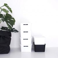 【セリアetc.】心地よい暮らしを。ミニマリストが愛用する100均アイテム
