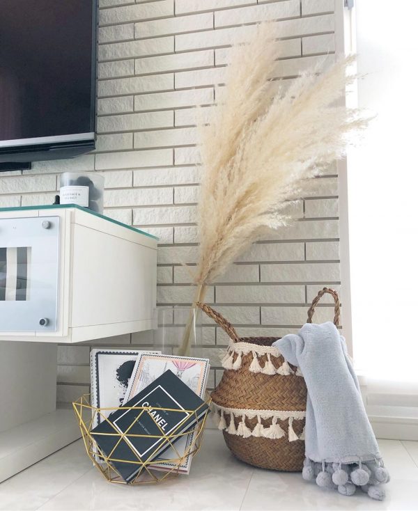 パンパスグラス3