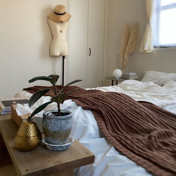 パンパスグラス9