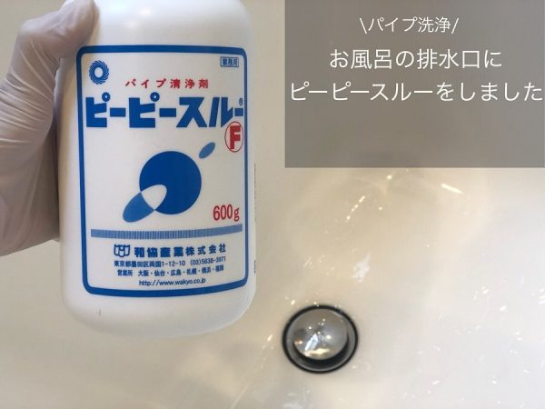 パイプ洗浄剤ピーピースルー