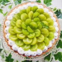 タルトの種類っていくつあるの？生地や味をレシピと合わせてご紹介♪