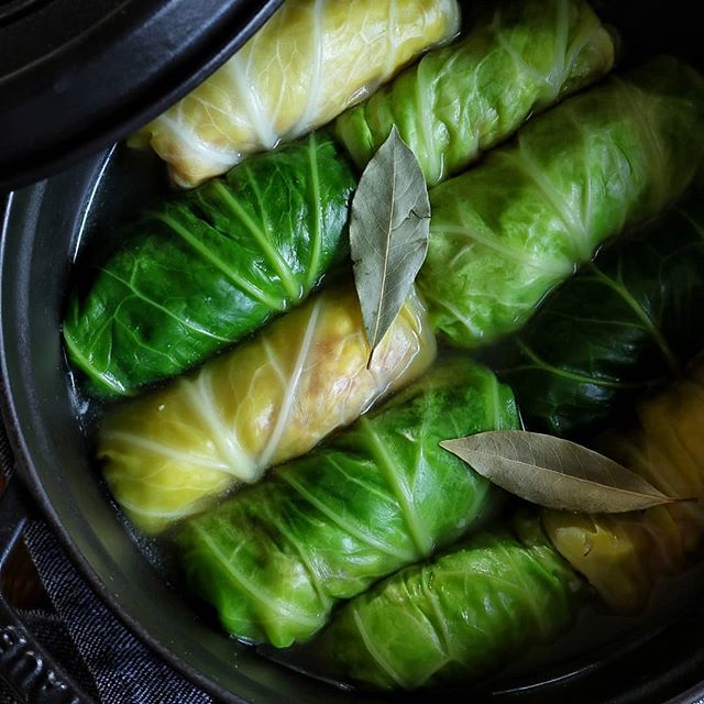 3月が旬の洋食！春キャベツのロールキャベツ