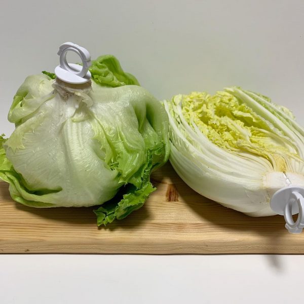 野菜フレッシュキーパー