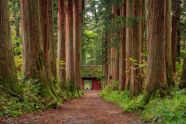 おすすめ観光スポット⑦戸隠神社