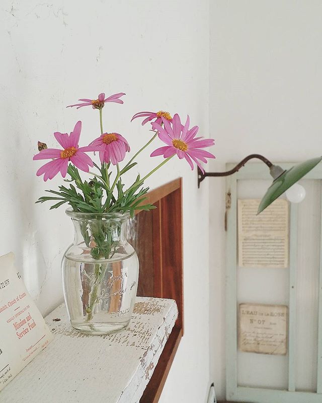 こんな雰囲気に憧れる カタログみたいなおしゃれ空間ショット Folk