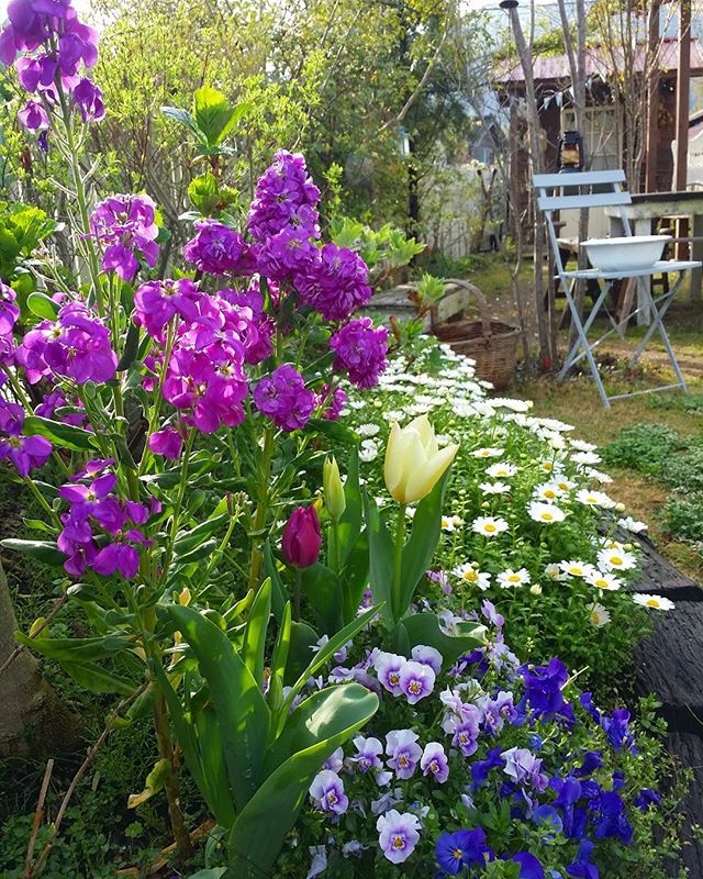 長方形の花壇をデザインして素敵なお庭づくり 初心者にもおすすめなおしゃれ実例 Folk