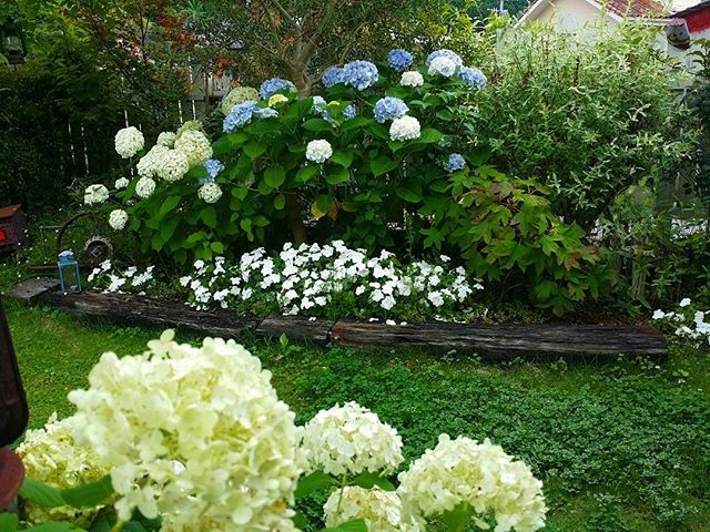 長方形の花壇をデザインして素敵なお庭づくり 初心者にもおすすめなおしゃれ実例 Michill ミチル