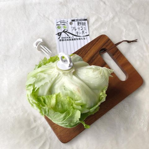 ダイソーetc 野菜の鮮度をキープ 知って得する野菜保存法 Folk