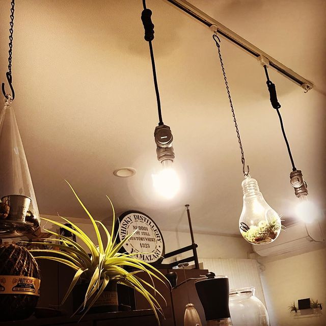 電球に入れるリビングの風水術