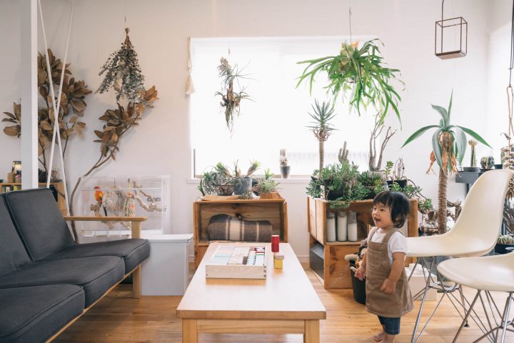 植物を載せているのはりんご箱