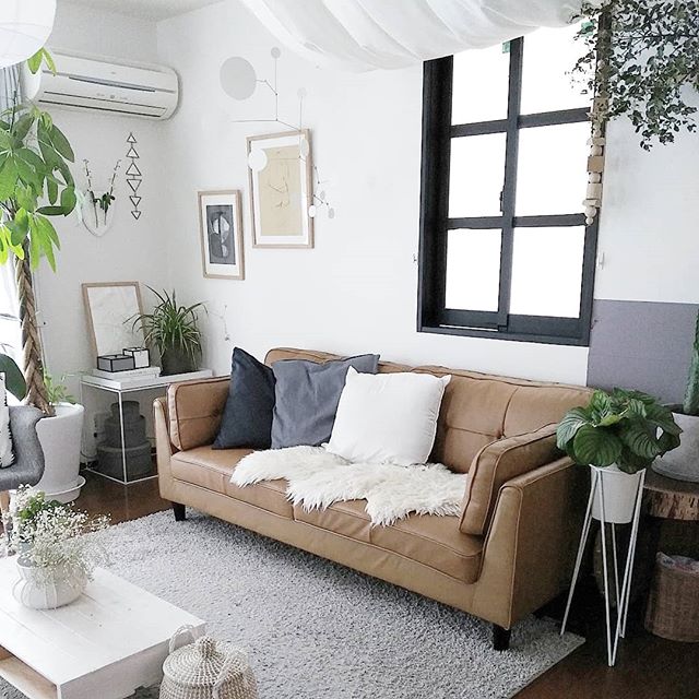 お金が入る運気を助ける効果