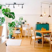 グリーンで溢れるリビングにしよう。観葉植物を上手に配置する実例まとめ