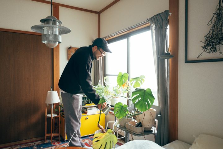 植物は服