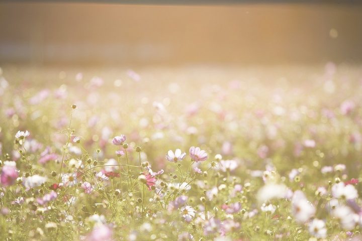 しないことリストのおすすめの作り方《考え方編》