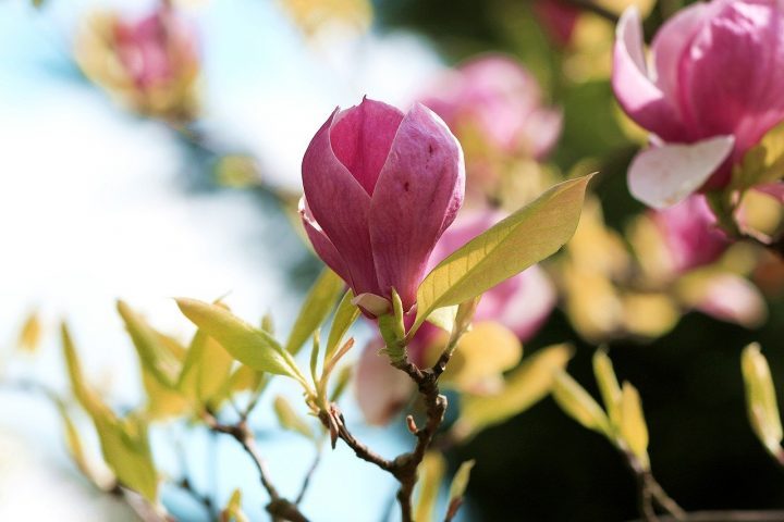 天気に関することわざ《風・季節など》