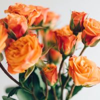 お見舞いに行く前に確認すべきマナーとは？おすすめの贈り物や注意点もご紹介