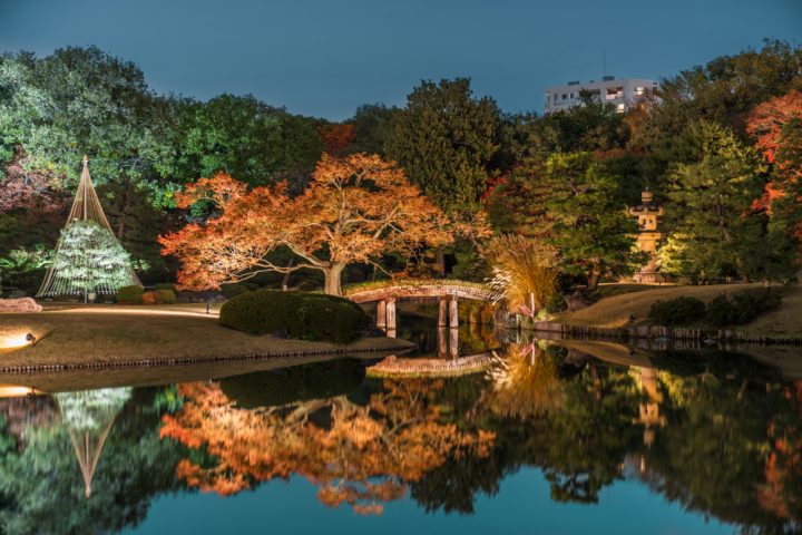 都内の観光名所としても有名な「六義園」