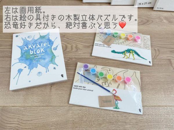 絵具付き立体パズル