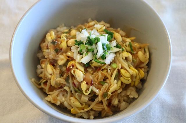 麻婆もやし丼