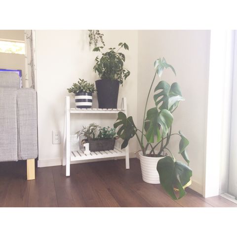 おしゃれなフラワースタンド14選 植物を雰囲気良く飾り付ける人気グッズをご紹介 Folk