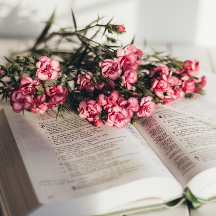 ポジティブな言葉を口に出してみませんか 前向きな考え方でもっと素敵な人生に Folk