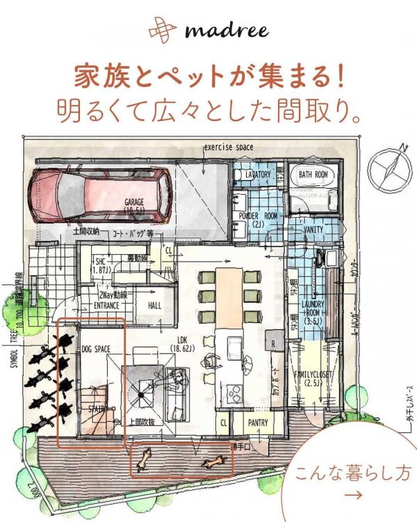 家族とペットが集まる！明るくて広々とした間取り。