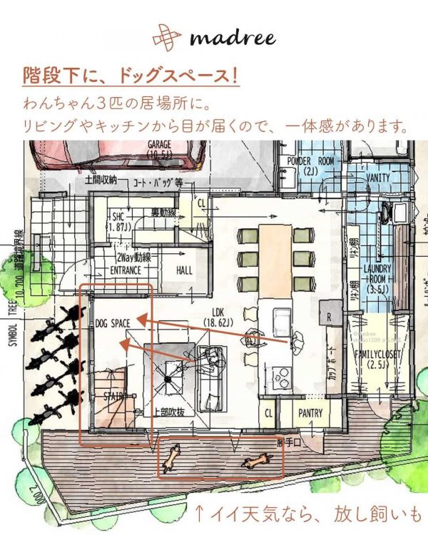 家族とペットが集まる！明るくて広々とした間取り。2