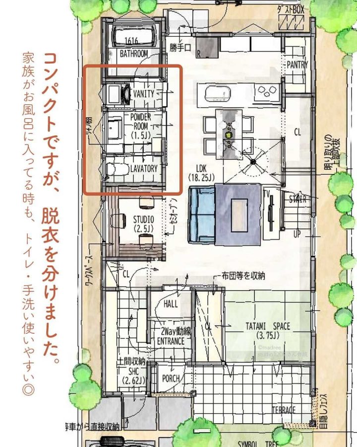 脱衣と洗面をわける！気負わずに手洗いできる間取り。2