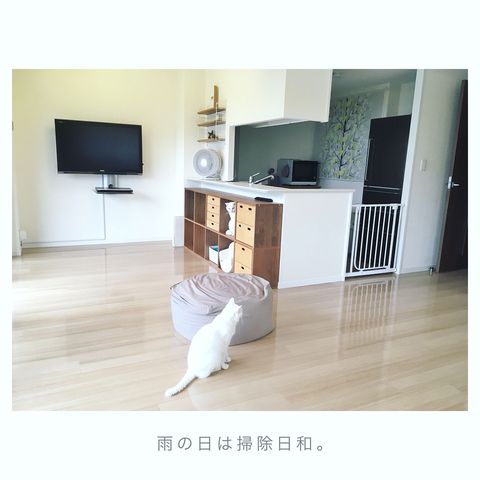 ミニサイズのスペック