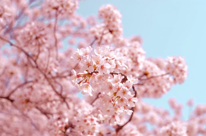 4月生まれの性格の特徴《基本・全般》