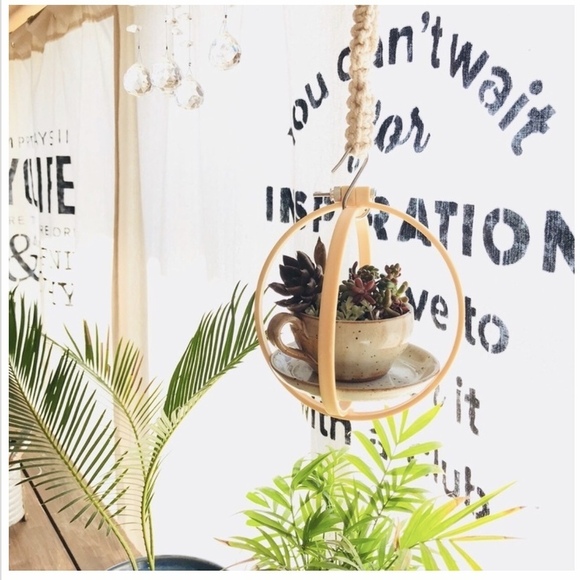 100均 観葉植物を吊るすハンギングプランター集 簡単に出来るおしゃれな飾り方 Folk