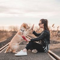 戌年生まれのあの人はどんな性格？男性、女性別に気になる特徴を徹底解説します
