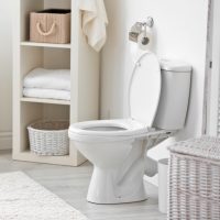 場所別ついでおそうじ！トイレ便器内部