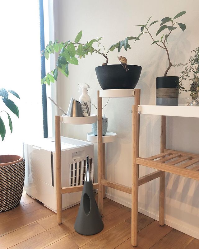 SATSUMASプラントスタンドの使用例