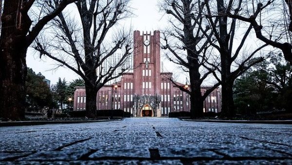 高校入学祝いのメッセージ例文《受験路線》