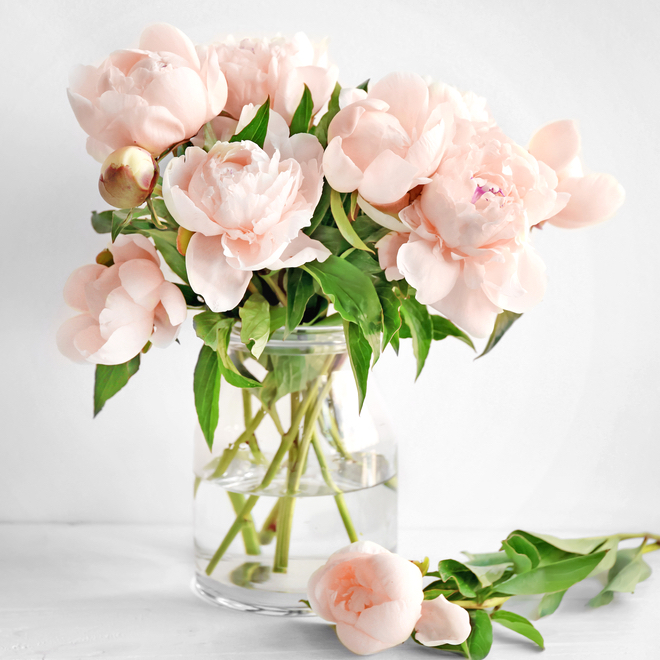 幸せな気持ちになれる素敵な花言葉を集めました 大切な人への贈り物選びにも Folk