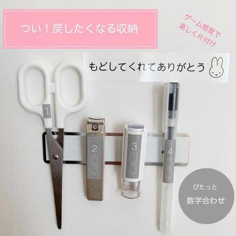 100均＆3COINSグッズの扉裏収納3