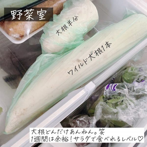 100均の大型野菜収納袋を活用するアイデア