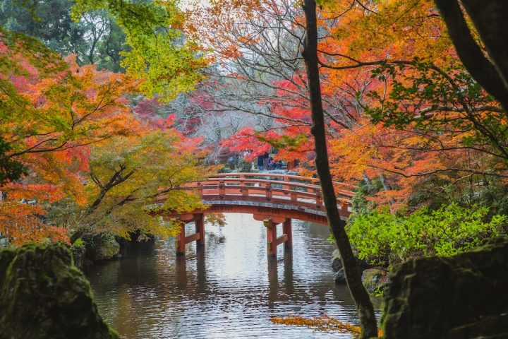 時候の挨拶にも使える11月の季語【中旬】