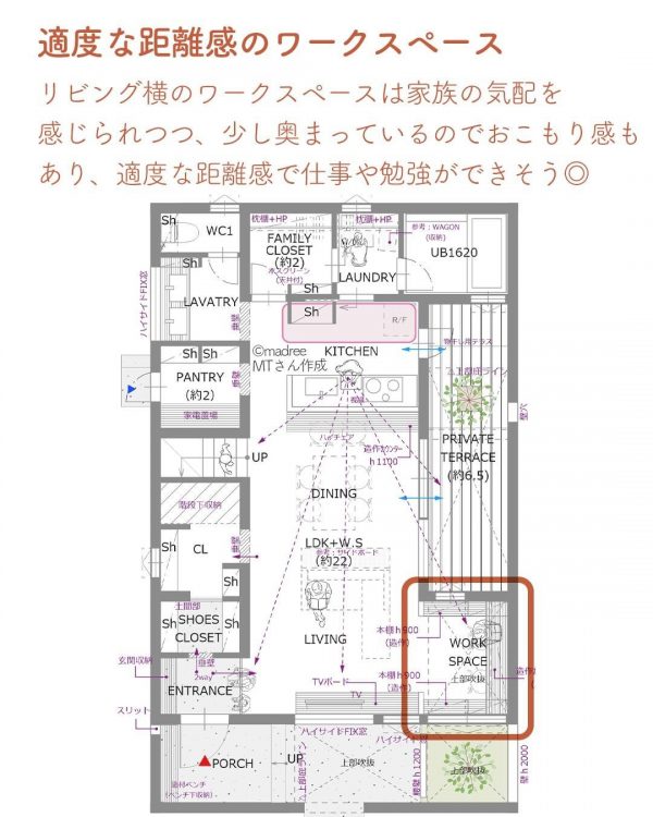 カーテンを付けずに伸び伸びとオープンに暮らせる間取り。4