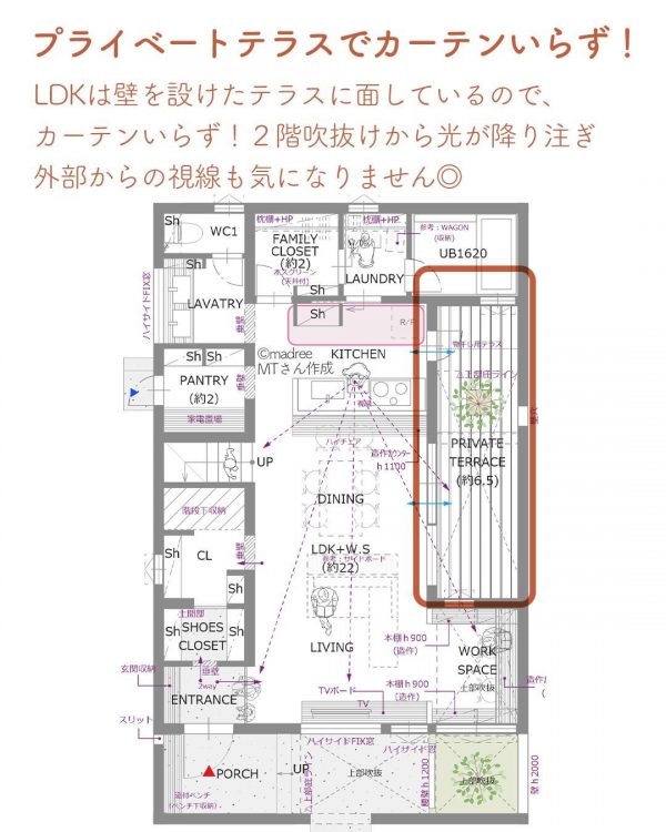 カーテンを付けずに伸び伸びとオープンに暮らせる間取り。2