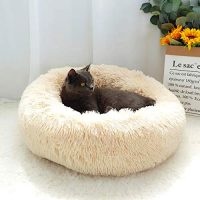 猫が喜ぶクリスマスプレゼント特集。お気に入りになるおやつなどをピックアップ