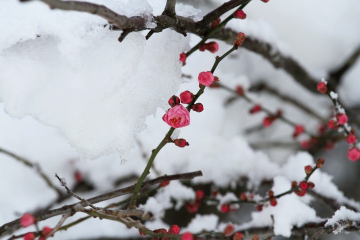 2月といえば?連想する季節の出来事