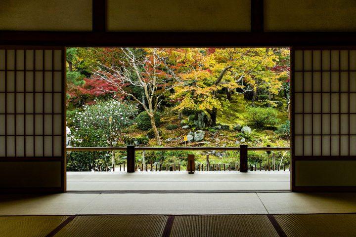 甘いものが苦手な女性におすすめのお土産