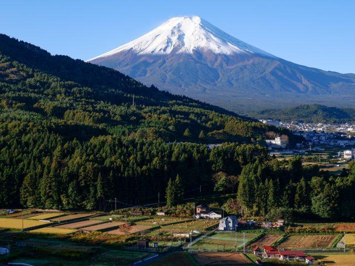 山梨でばらまき用のお土産が購入できるおすすめスポットは？